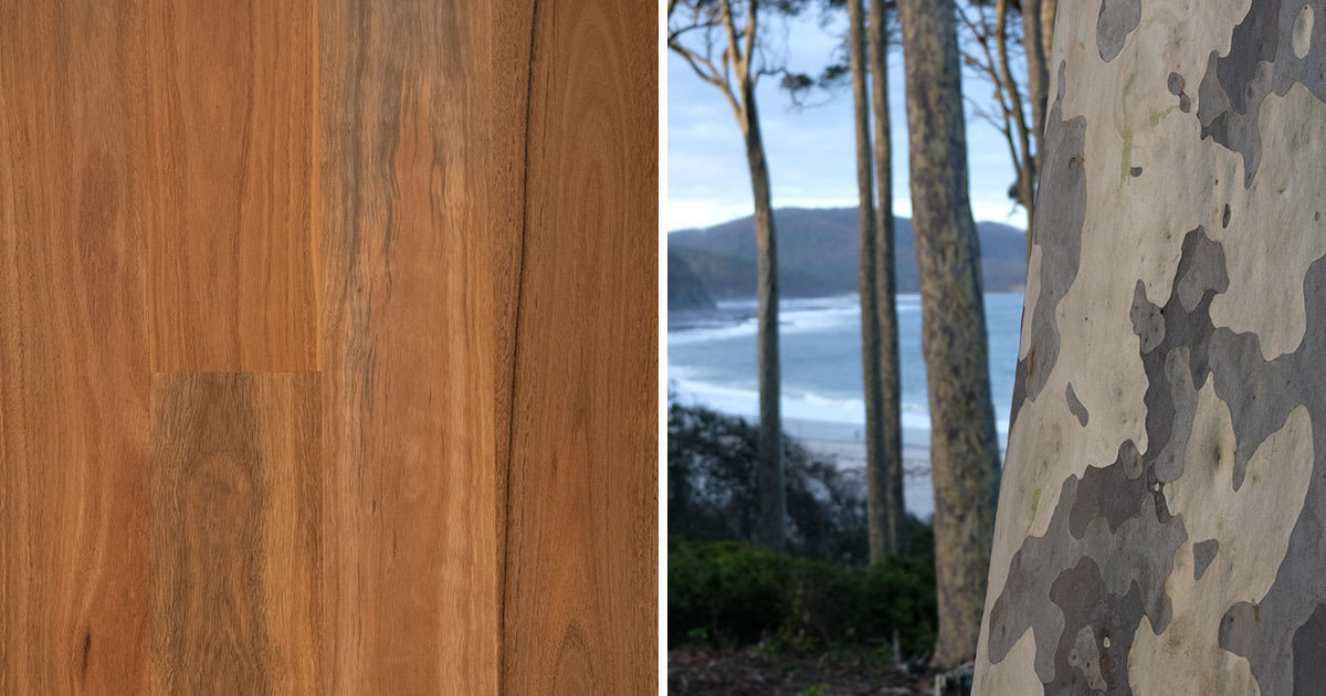 Havwoods EP112 Spotted Gum Engineered Timber Flooring